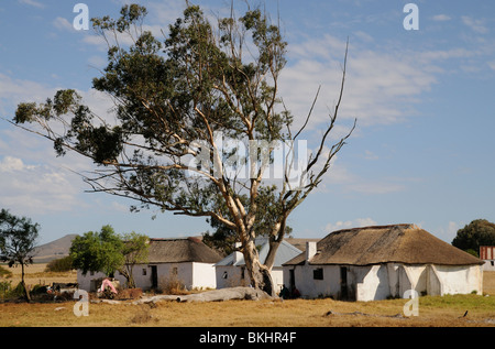 Rural thatched houses for farm workers at Darling in the western Cape South Africa Stock Photo