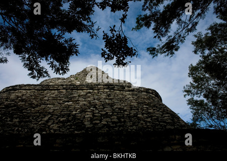 The Cono or Xaibe observatory pyramid peeks above the jungle trees in the ancient Mayan city of Coba in Mexico's Yucatan Peninsu Stock Photo