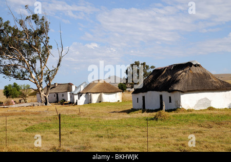 Rural thatched houses for farm workers at Darling in the western Cape South Africa Stock Photo