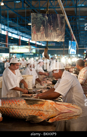 Manaus City Market, Amazon Brazil. The pirarucu is one of the largest freshwater fishes in the world. Stock Photo