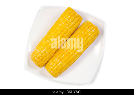 Fresh cooked corn cob on dish isolated over white Stock Photo