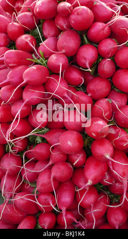 Fresh organic radishes on display at farmer's market. Stock Photo