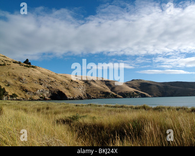 Le Bons Bay, near Akaroa on the Banks Peninsula near Christchurch, New Zealand Stock Photo