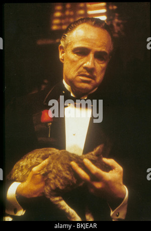 THE GODFATHER (1972) MARLON BRANDO GODF 078 Stock Photo