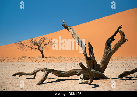 Dune 45 in Sossusvlei, Namibia