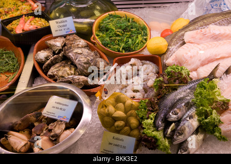 Display of fresh seafood, Oudeschild, Texel, Netherlands Stock Photo