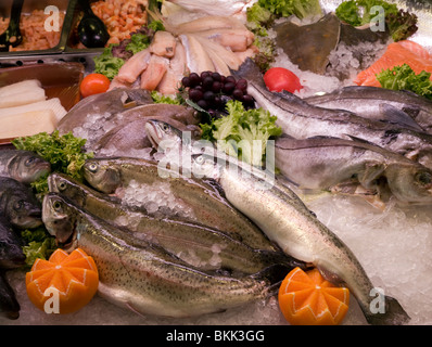 Display of fresh seafood, Oudeschild, Texel, Netherlands Stock Photo