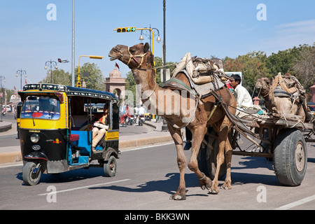 Camel cart and rickshaw. Bikaner. Rajasthan. India Stock Photo