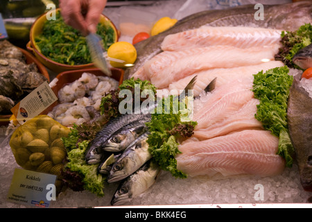 Display of fresh seafood, Oudeschild, Texel, Netherlands Stock Photo