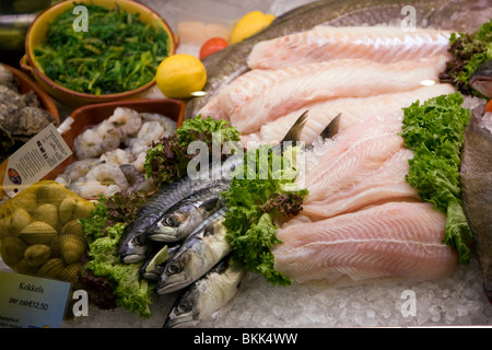 Display of fresh seafood, Oudeschild, Texel, Netherlands Stock Photo