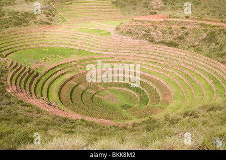 Moray Inca archaeological site in Peru Stock Photo