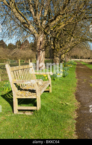 Spring on the footpath from Church Walk to Holy Cross Church in the Cotswold village of Ashton Keynes, Wiltshire, Uk Stock Photo