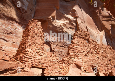 Palatki Cliff Dwelling, Sedona, Arizona, USA Stock Photo