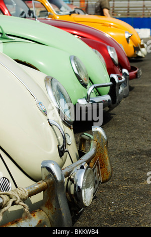 Front view of VW Beetles in a row  Santa pod raceway England Stock Photo