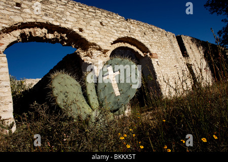 A cross carved into a cactus at the ruins of the Hacienda de Cinco Señores at an abandoned mine in Mineral de Pozos, Mexico. Stock Photo