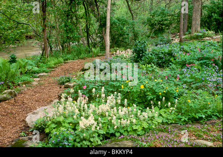 Shade garden path along stream made of mulch and quarry stones with multi-colored blooming summer flowers, Missouri USA Stock Photo