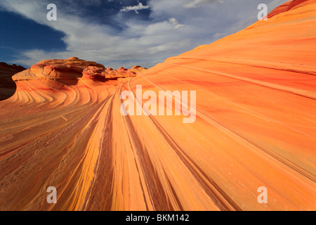 Eroded sandstone formations in Vermilion Cliffs National Monument, Arizona Stock Photo