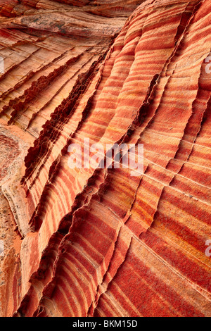 Details in striated sandstone formations in Vermilion Cliffs National Monument Stock Photo