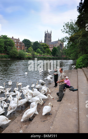 Worcester Cathedral on the banks of the River Severn Worcestershire UK Stock Photo