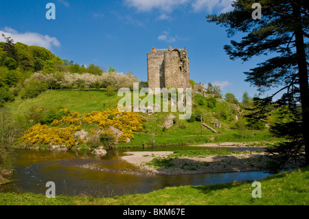 14th Century Neidpath Castle beside the River Tweed Peebles Scottish Borders Stock Photo