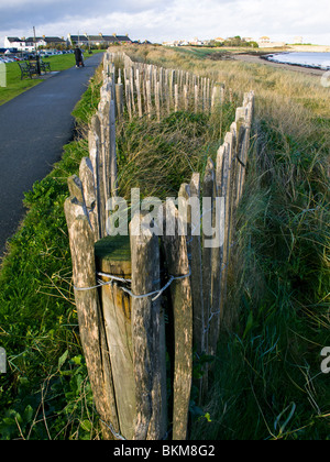 Dune preservation fences on the beach at Skerries, north county Dublin, Ireland Stock Photo
