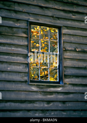 Window reflecting yellow fall foliage, Gaston's Mill in Beaver Creek State Park, Ohio, USA Stock Photo