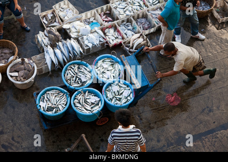 The catch is unloaded for selling at the morning fish market in Sandakan, Sabah, Borneo, Malaysia. Stock Photo