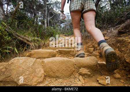 Hiking the Mt Kinabalu summit trail.  Kinabalu National Park, Sabah, Borneo, Malaysia Stock Photo