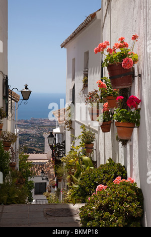 Calle con flores Pueblo Blanco de Mijas Costa del Sol Málaga Andalucía España Street with flowers white village andalusia spain Stock Photo