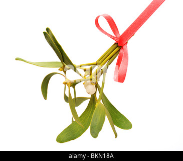 Mistletoe bunch hanged on red ribbon over white background Stock Photo ...