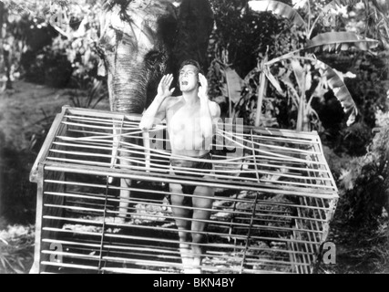 TARZAN'S ESCAPE (1936) JOHNNY WEISSMULLER TZE 001P Stock Photo