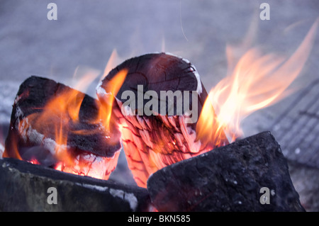 A burning fire in a fire pit Stock Photo