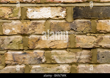 A brick wall being re-pointed / pointing a wall. Stock Photo