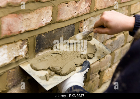 A brick wall being re-pointed / pointing a wall. Stock Photo