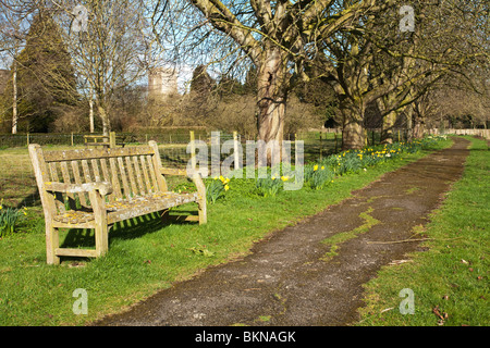 Spring on the footpath from Church Walk to Holy Cross Church in the Cotswold village of Ashton Keynes, Wiltshire, Uk Stock Photo