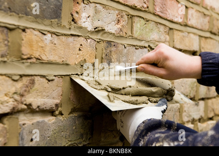 A brick wall being re-pointed / pointing a wall. Stock Photo