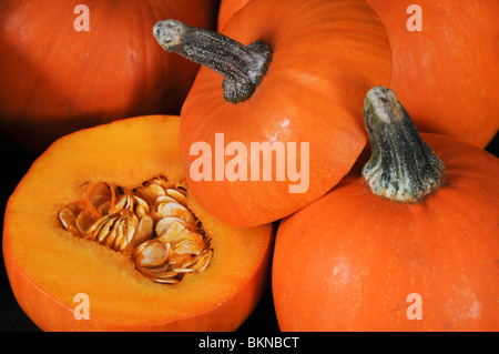 Mini Pumpkins Stock Photo