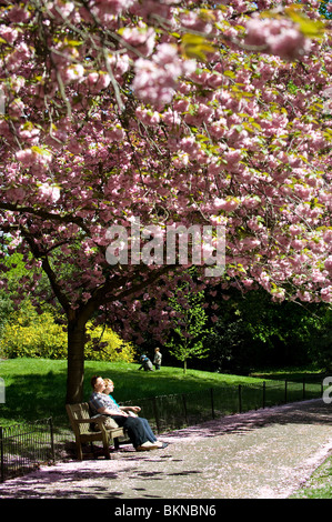 Two people sitting under a blossoming tree in Hyde Park, London, May 2010 Stock Photo