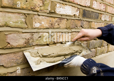 A brick wall being re-pointed / pointing a wall. Stock Photo