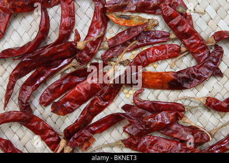 red chillies,used as a food ingredient widely in india Stock Photo