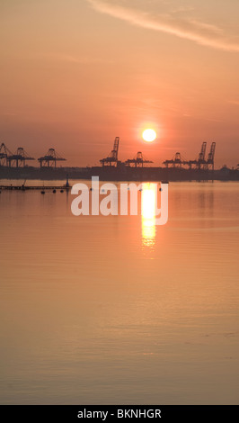 Sunrise over cranes of Port of Felixstowe, Suffolk, England viewed from Harwich, Stock Photo