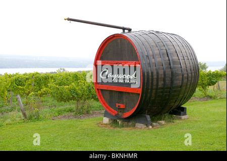 Winery in Finger Lakes Region New York Stock Photo