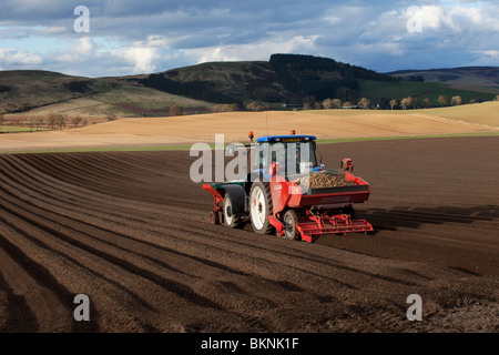 Furrow irrigation & cultivation methods used in Potato Farming; Grimme GL 32 B De-stoning precision Farm Equipment in fields in Tayside. Scotland, UK Stock Photo