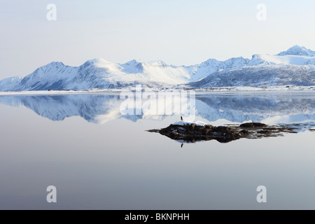 View across Steirapollen inlet/lake from the E10 road near Alstad on Vestvågøy, one of the Lofoten Islands in Norway Stock Photo
