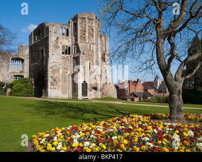 Pretty spring flowers in the gardens of Newark Castle, Nottinghamshire England UK Stock Photo