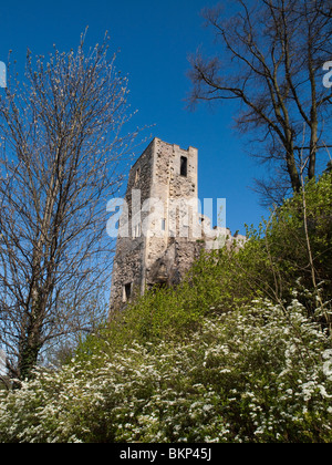 Newark Castle, Nottinghamshire England UK Stock Photo