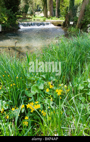 The river Glyme at Glympton, Oxfordshire, with a footbridge and small waterfall / weir, spring sunshine, Stock Photo