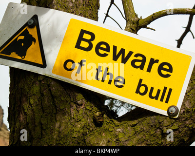 Beware of the bull warning sign nailed to a tree Stock Photo