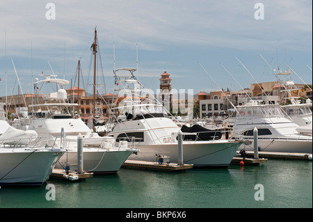Luxury Yachts, Fishing Boats, Launches and Water Taxi's in Cabo San Lucas Marina, Baja California, Mexico Stock Photo