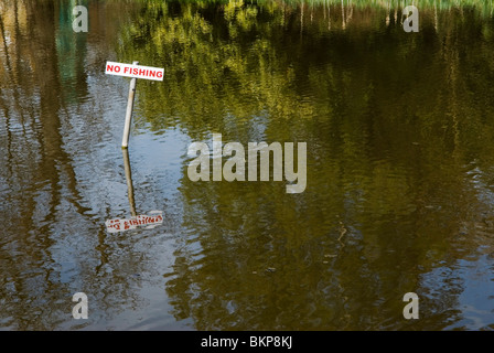 No Fishing sign in pond. The Silent Pool, near Shere Surrey Uk. HOMER SYKES Stock Photo